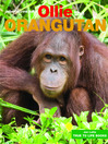 Ollie the Orangutan (eBook)